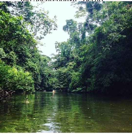 Suites Proximo Ao Rio Jaguareguava Em Bertioga Luaran gambar