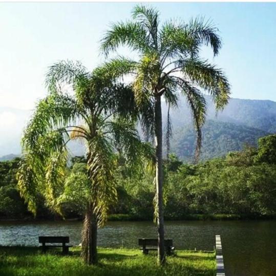 Suites Proximo Ao Rio Jaguareguava Em Bertioga Luaran gambar